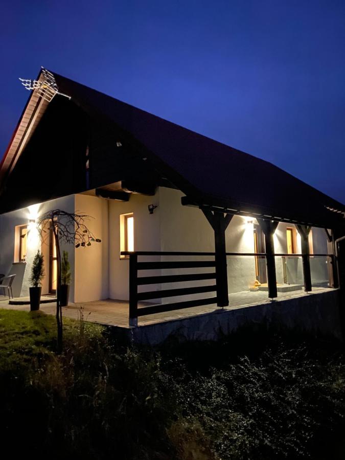 Malinowa Osada Villa Wisła Exterior foto
