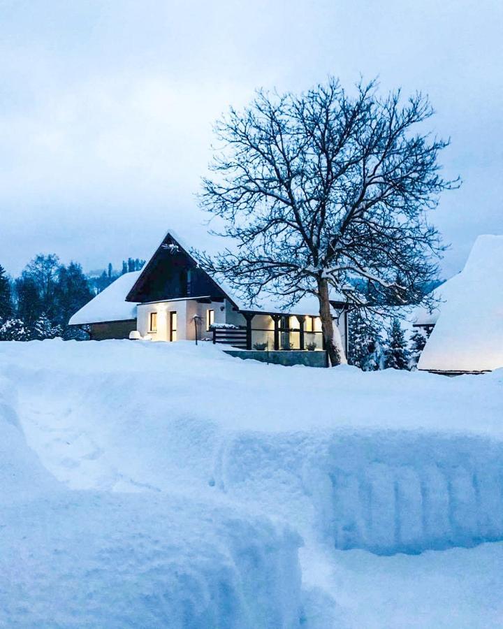 Malinowa Osada Villa Wisła Exterior foto