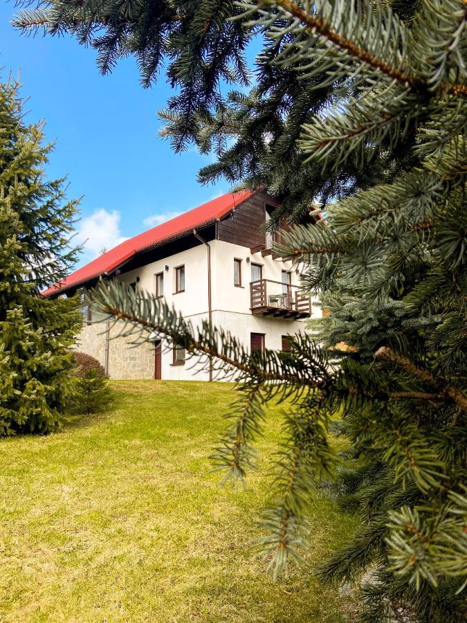 Malinowa Osada Villa Wisła Exterior foto