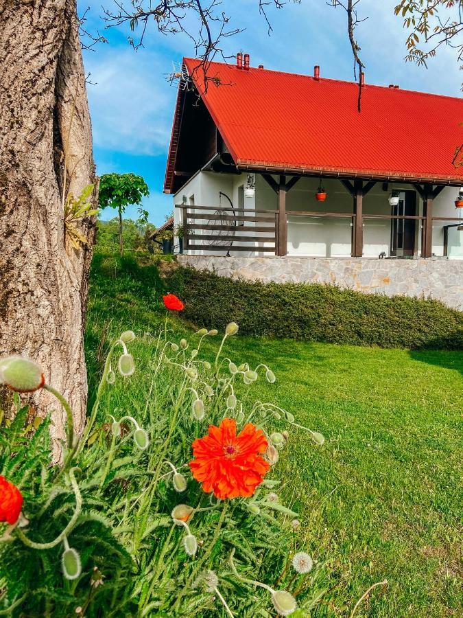 Malinowa Osada Villa Wisła Exterior foto